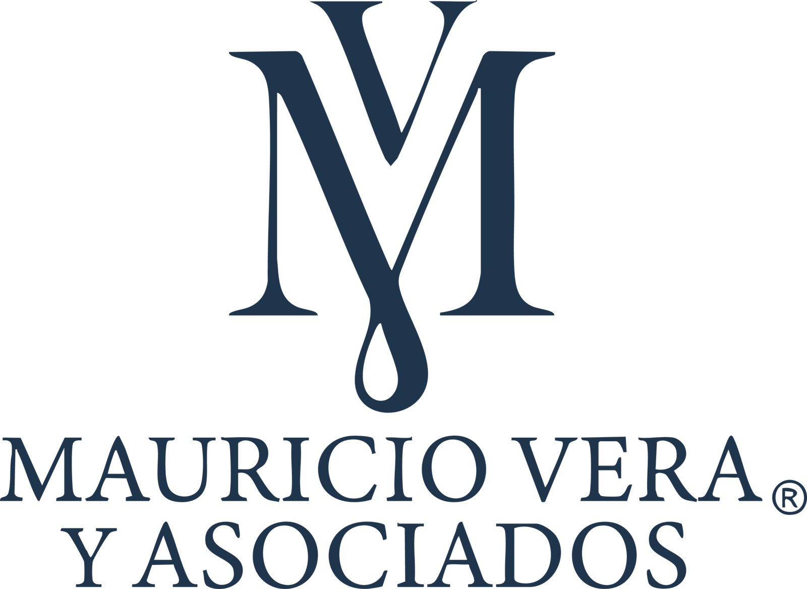 Mauricio Vera y Asociados